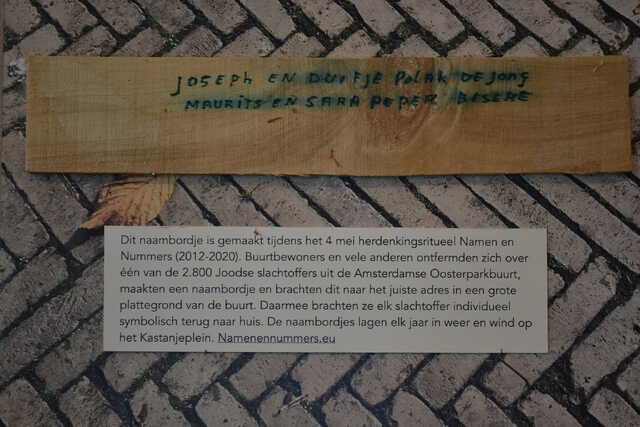 Polak_de Jong_Duifje__V_167_I.JPG