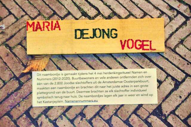 Jong_Vogel_Maria_de_Ops2_5_I.JPG