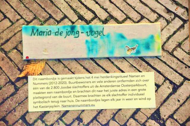 Jong_Vogel_Maria_de_Ops2_5_I#2.JPG