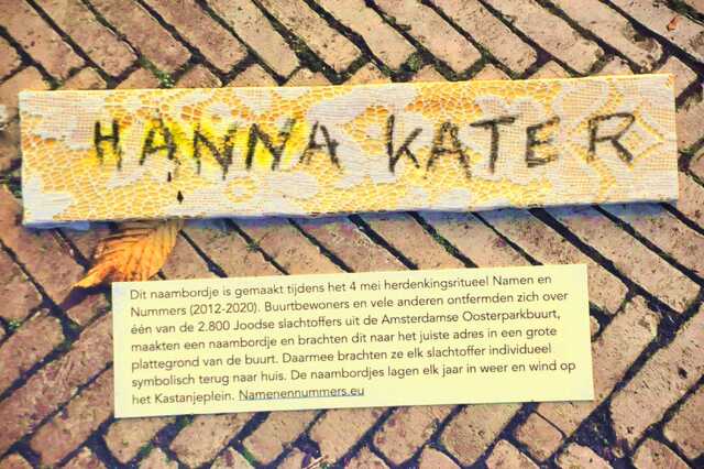 Kater_Hanna__Ops2_107_I.JPG