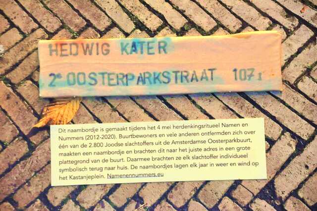 Kater_Hedwig__Ops2_107_I.JPG