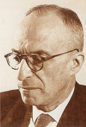 Prof. Dr. Ir. Hein Israël Waterman