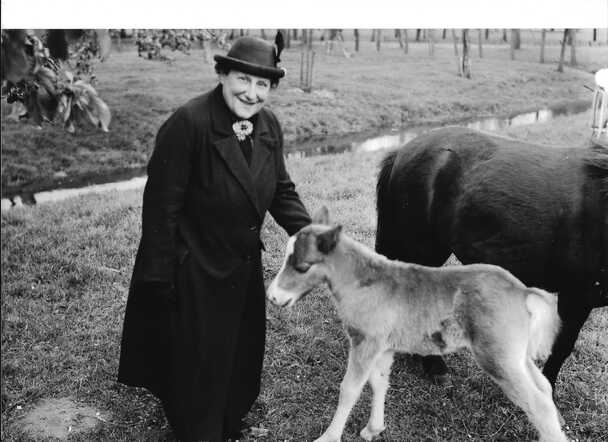 Anna Meijer-Wolf - foto Hans Wolf (1932) - bezit Geer Wolf - 60.jpg