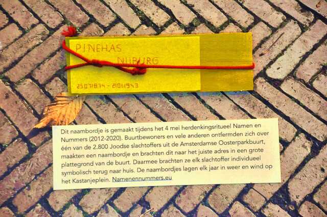Nijburg_Pinehas__Ops2_29_.JPG