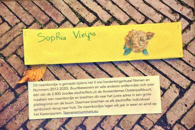 Vieijra_Sophia__Ops2_115_II.JPG