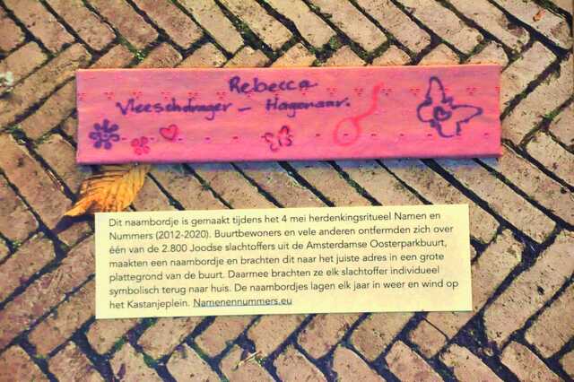 Vleeschdrager_Hagenaar_Rebecca__Ops2_7_I.JPG