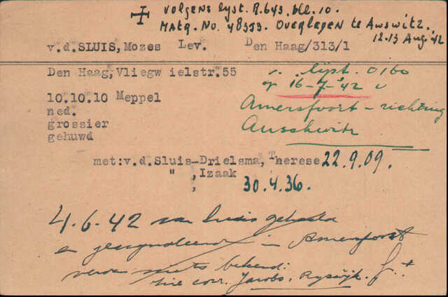 Arolson zoon Mozes Levie.jpg
