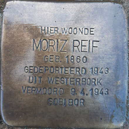 Stolperstein Moriz Reif.jpg