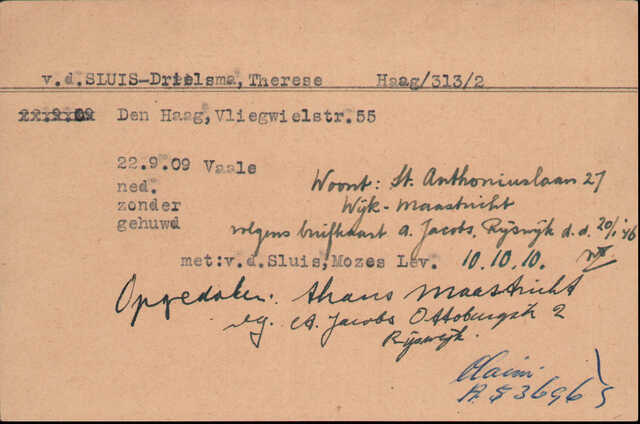 Therese vd Sluis-Drielsma.jpg