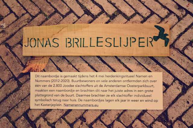 Brilleslijper_Jonas__V_70_II.JPG