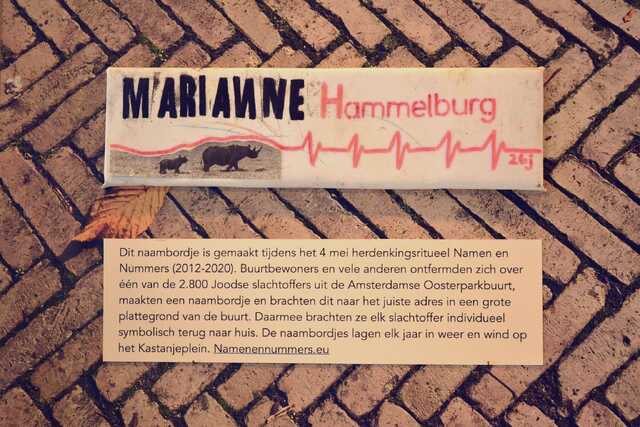 Hammelburg_Marianne__V_72_huis.JPG