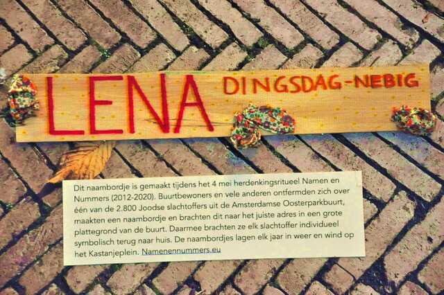 Dingsdag_Nebig_Lena__Ip_15_II.JPG