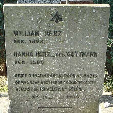 William Herz