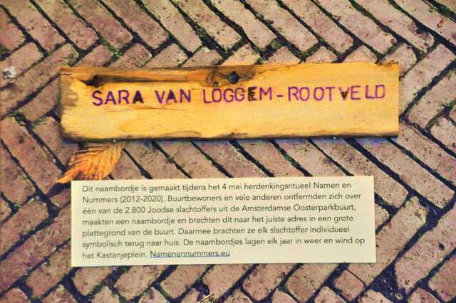 Loggem_Rootveld_Sara_van_Ip_31_III.JPG