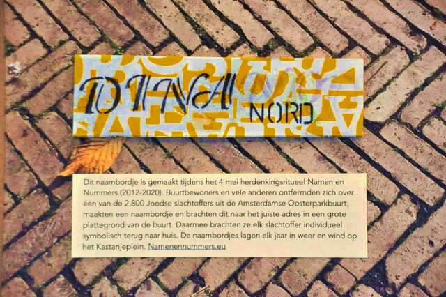 Nord_Dina__Ip_11_III.JPG