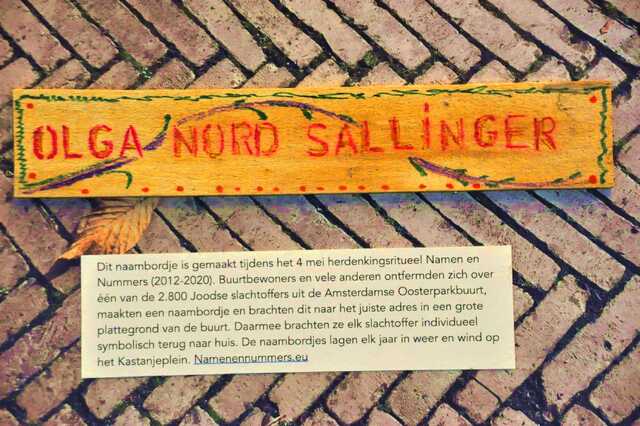 Nord_Sallinger_Olga__Ip_11_III.JPG
