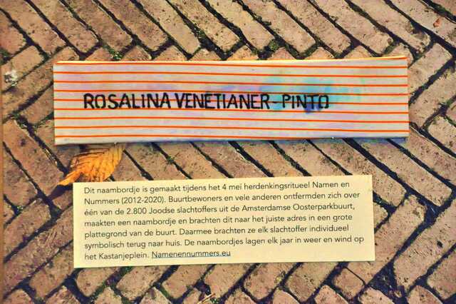 Venetianer_Pinto_Rosalina__Ip_31_huis.JPG