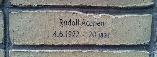 MLA_001 Rudi Acohen.jpg