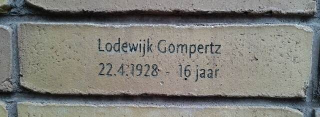 MLA_007 Lo Gompertz.jpg