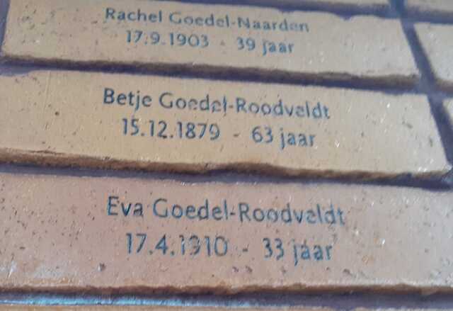 Eva Goedel-Roodveldt.jpg
