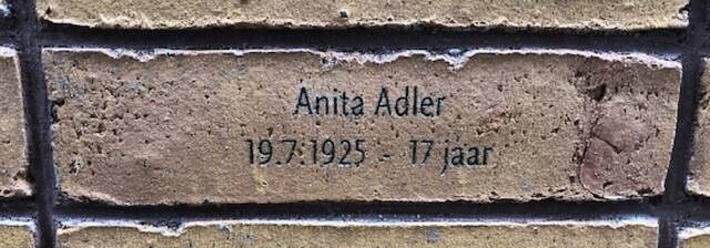 Anita Adler.jpg