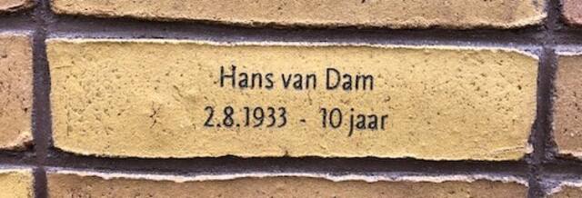 Hans van Dam.jpg