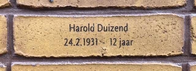 Harold Duizend.jpg