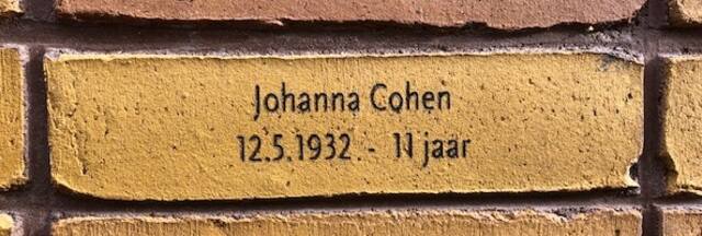 Johanna Cohen.jpg