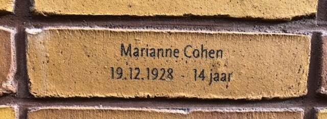 Marianne Cohen.jpg