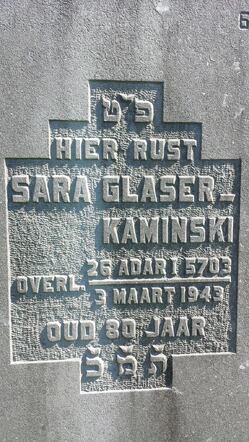 SaraGlaserKaminiski.jpg