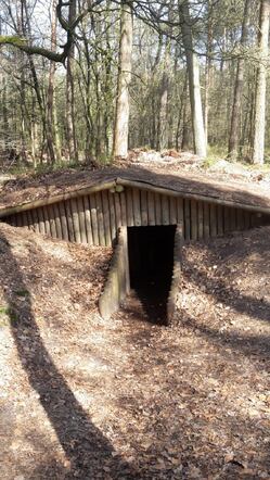 Het verscholen dorp. Een van de nagebouwde schuilhutten in de bossen bij Vierhouten, foto Selma Horn.jpg