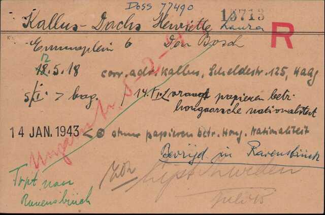 Henriette L. Kallus Dachs, krt JR.jpg