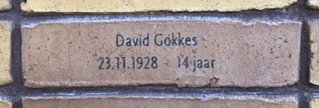 David Gokkes.jpg