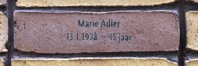 Marie Adler.jpg
