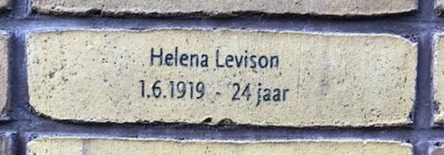 Helena Levison.jpg