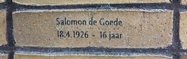 Salomon de Goede.jpg