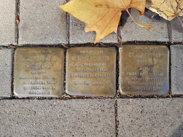 stolperstein-mosberg-bielefeld.jpg