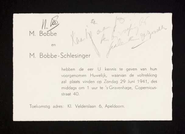 bobbe schlesinger.jpg