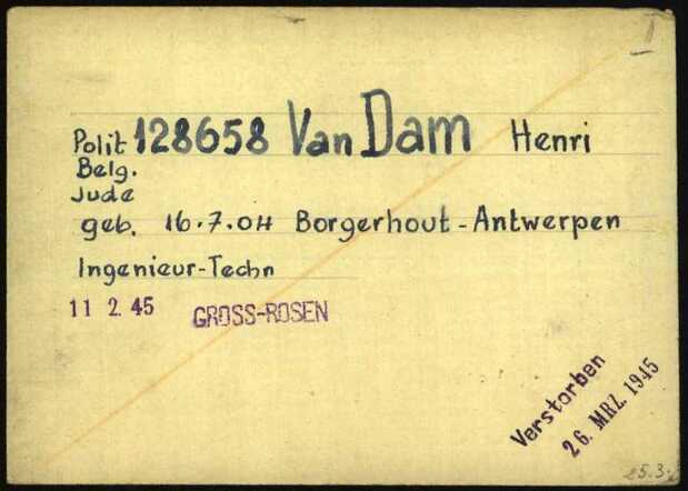 Henri van Dam