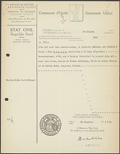 OA 817 Rosa Goldrosen Bleich.jpg