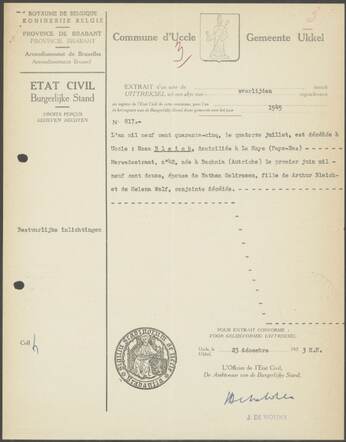 OA 817 Rosa Goldrosen Bleich.jpg