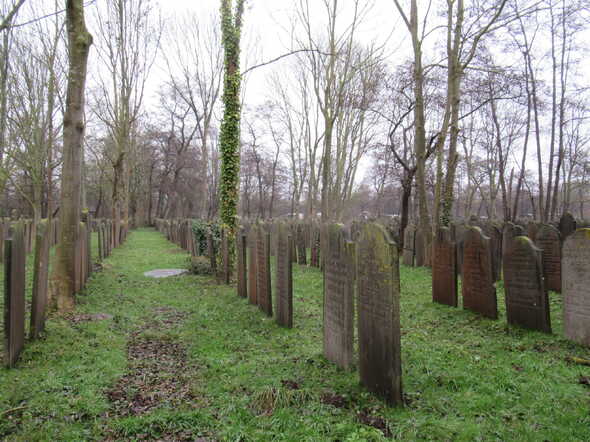 7rij56.jPG