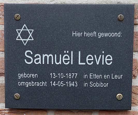 Isamuel levie.jpg