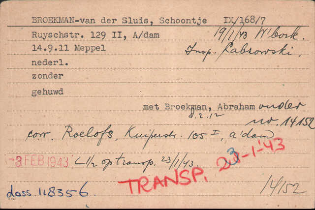 Schoontje. Arolsen.jpg