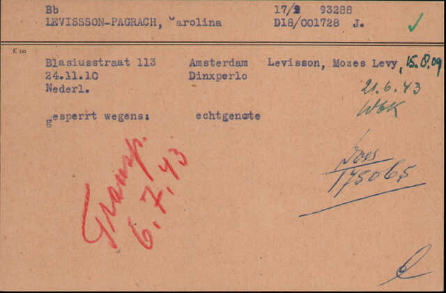 Arolsen Levisson Pagrach.jpg