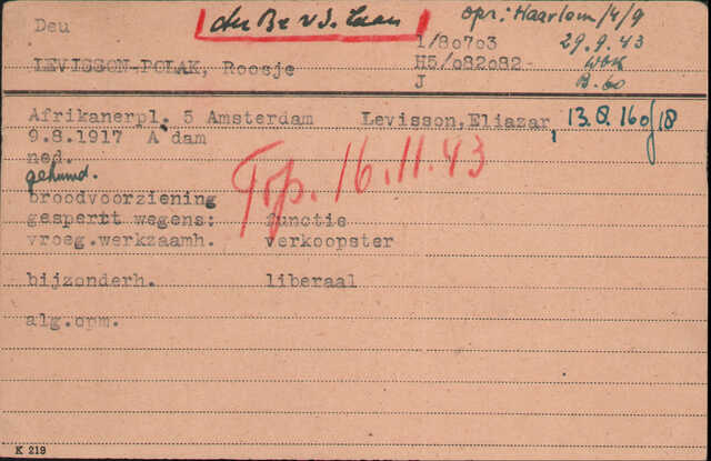 Arolsen Levisson-Polak.jpg