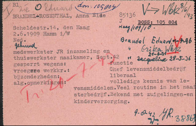 Arolsen.Brandel-Rosenthal.1.jpg
