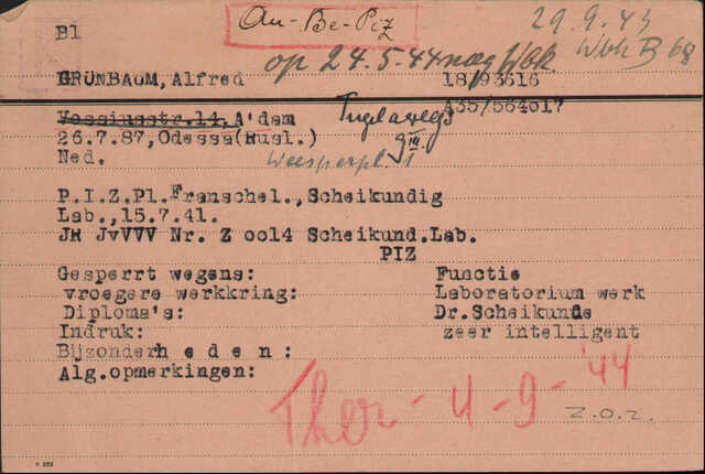 Grunbaum.2.jpg