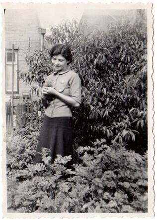 Alice van der Hoeden