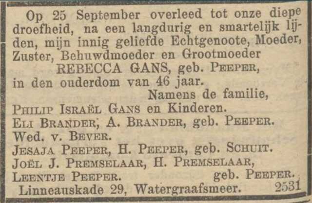 Rebecca Gans-Peeper NIW 02-10-1908.JPG